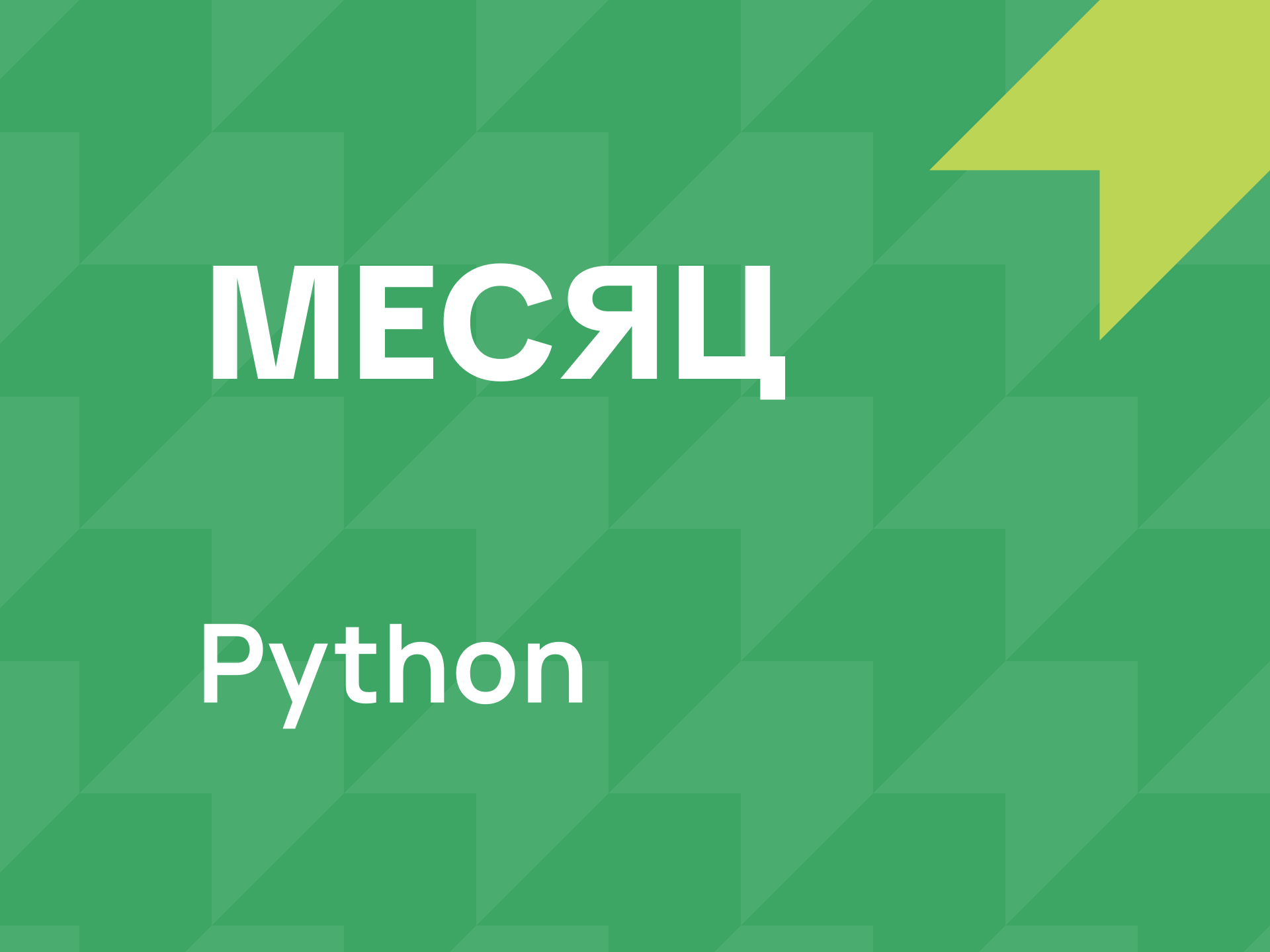 10 класс <br>Абонемент на месяц <br>два занятия в неделю